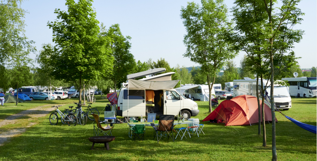 Avoid tree damage to your RV